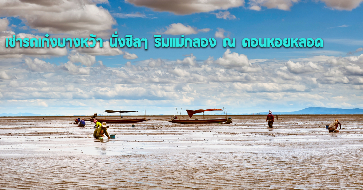 เช่ารถเก๋งบางหว้า นั่งชิลๆ ริมแม่กลอง ณ ดอนหอยหลอด